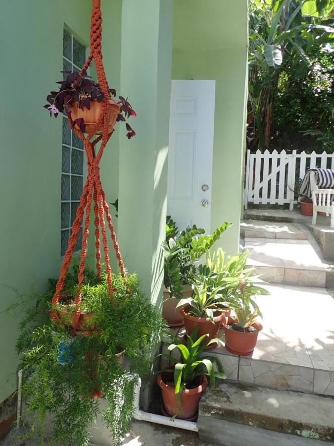 Urban Oasis Apartment Castries Kültér fotó