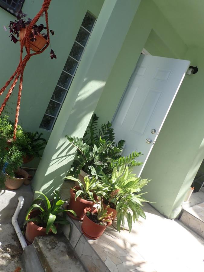 Urban Oasis Apartment Castries Kültér fotó
